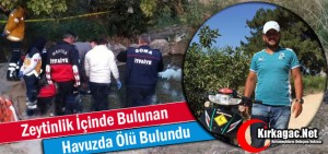 zeytinlik