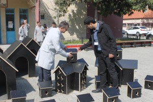 evsiz6
