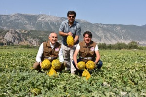 cografi-isaret-jpg2
