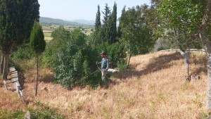 buyuksehir-jpg2