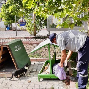 sokak-hayvanlari