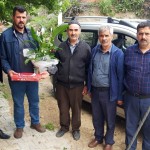 ali-dogan
