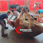 kirkagacta-kurbanlar-jpg2